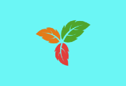 Trilium Notes v0.101.3 中文绿色版｜开源分层笔记管理工具支持本地/同步/加密存储
