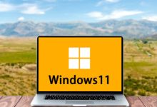 【不忘初心游戏版】Windows11 25H2（26200.8973）X64 无更新[精简版][3.38G](2026.7.31)